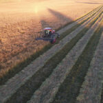 Photo of MacDon swather in a grass seed field at sunrise
