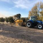 Photo of New Holland tractor and hazelnut cart in the Hazelnut tree field