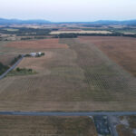 Aerial photo of harvested field at Massey Place