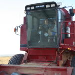 Historical photo of the Berger family in a Case combine during harvest