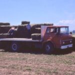 Historical photo of hay harvest loading red GMC truck