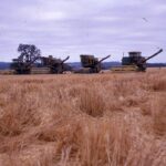 Historical photo of wheat harvesters lined up in the field